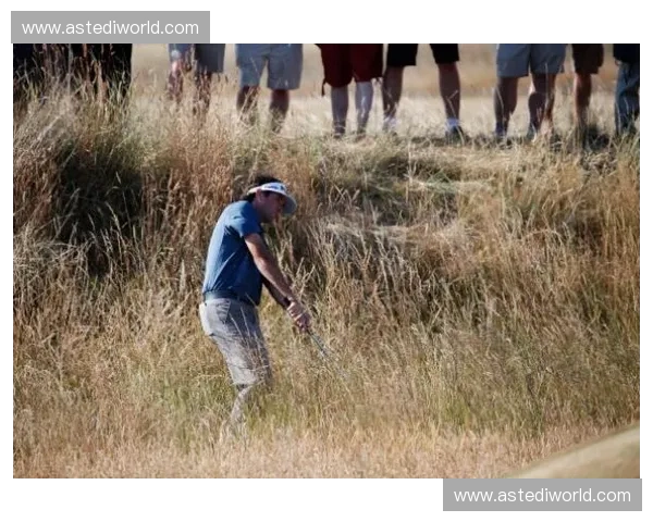 最新体育动态：全球赛事回顾与精彩瞬间分析，聚焦明星运动员表现